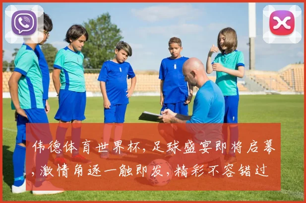 伟德体育世界杯,足球盛宴即将启幕,激情角逐一触即发,精彩不容错过