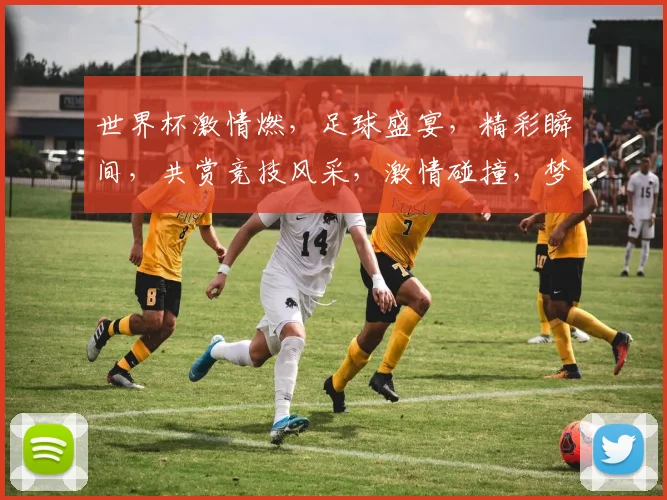 世界杯激情燃，足球盛宴，精彩瞬间，共赏竞技风采，激情碰撞，梦想起航，足球迷必看